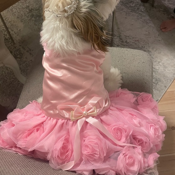 Doggy Princess Dress - Picture 2 of 3